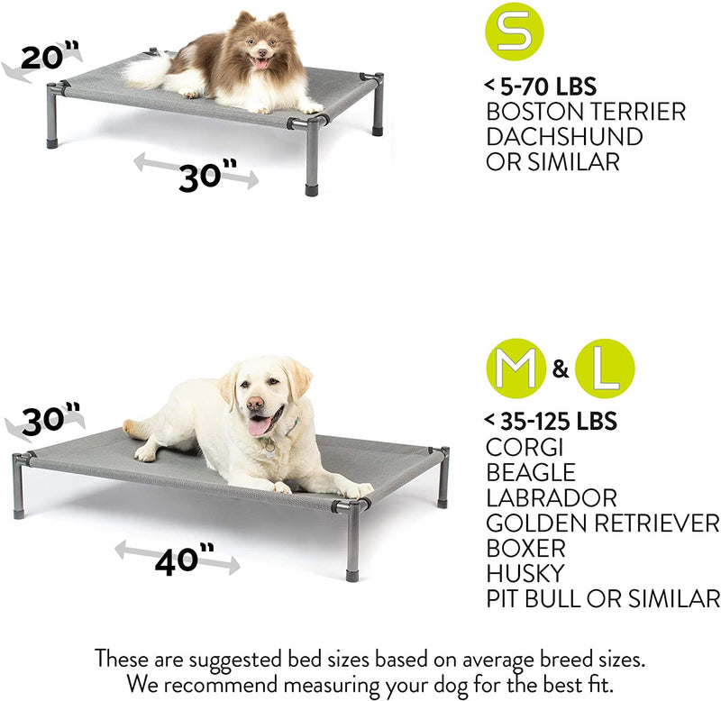 Hyper Pet Raised Rest Deluxe Elevated Dog Bed - Gray