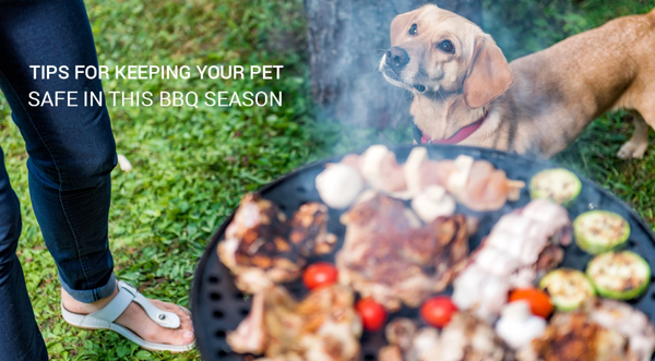 TIPS FOR KEEPING YOUR PET SAFE THIS BBQ SEASON