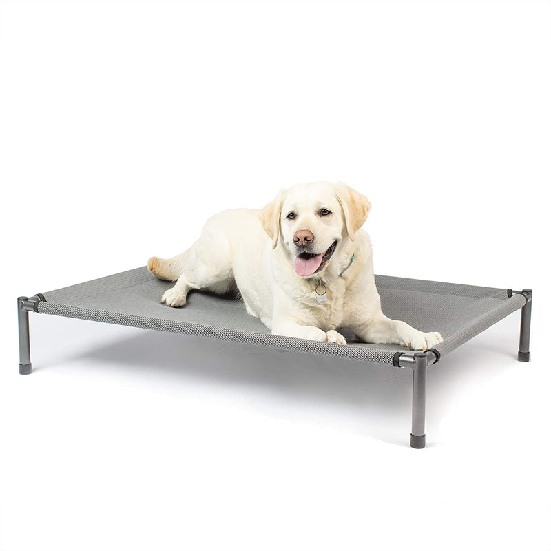 Hyper Pet Raised Rest Deluxe Elevated Dog Bed - Gray