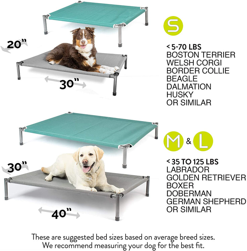 Hyper Pet Raised Rest Deluxe Elevated Dog Bed - Value Pack - 2 covers