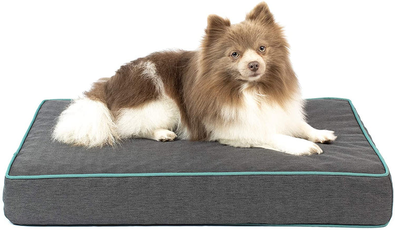 Hyper Pet Extreme Dream Deluxe Foam Slab Dog Bed
