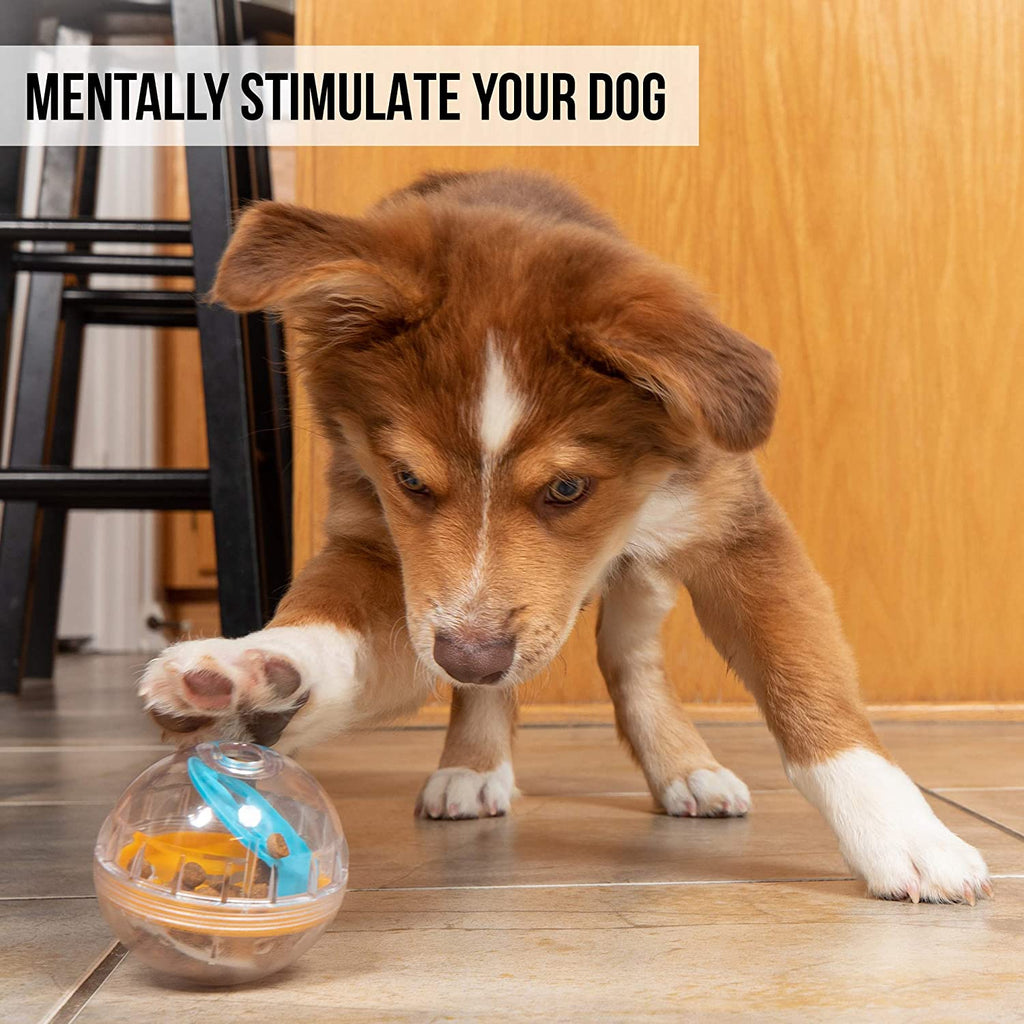 Pet Supplies : Pet Zone IQ Treat Ball Dog Treat Dispenser Toy Ball  Interactive Dog Toy - 4 Dog Food Toy Stimulation, Slow Feeder 