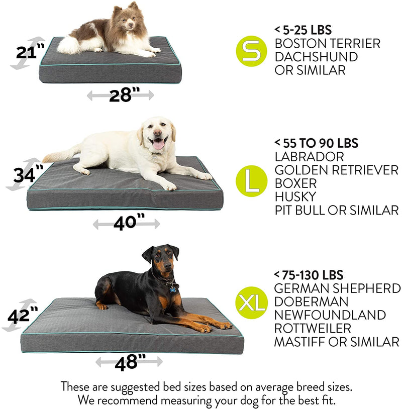 Hyper Pet Extreme Dream Deluxe Foam Slab Dog Bed