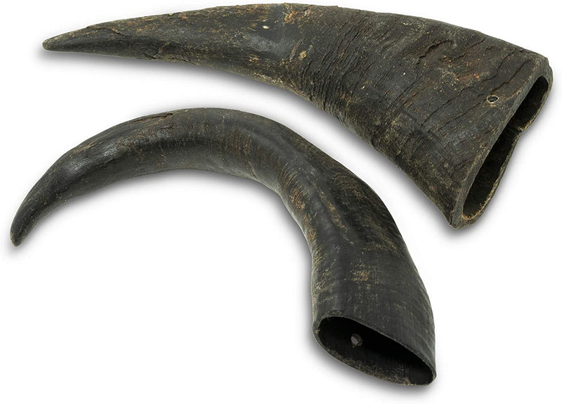 WATER BUFFALO HORN, 2 PACK,  LARGE