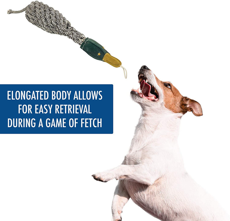 BOTTLE BIRD - NATURAL ROPE TOY