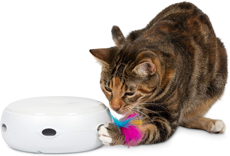 PetFusion | Electronic cat toy