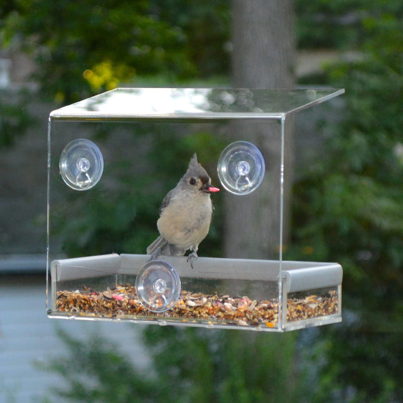 PetFusion Tranquility Window Bird Feeder in Premium Lucite Acrylic. (I) Removable Tray, (II) 3 Perches, Clear
