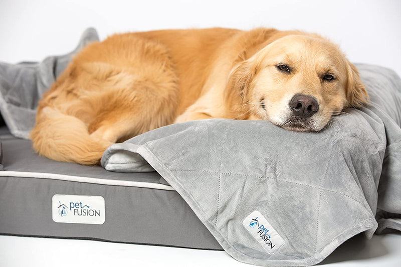 PetFusion | Microplush Quilted Pet Blanket | M | Gray