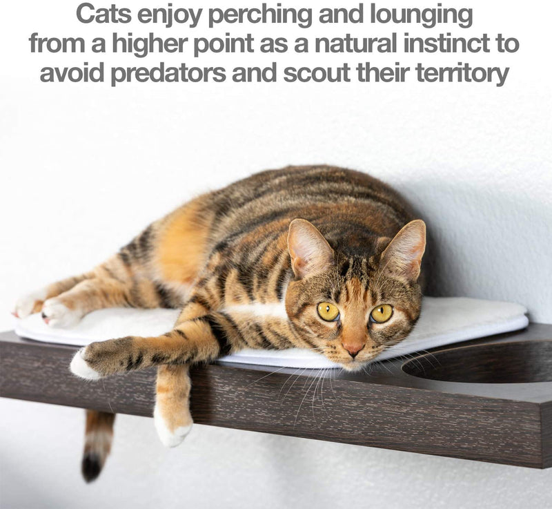 PetFusion | Cat Activity Wall Shelves | Set of 3