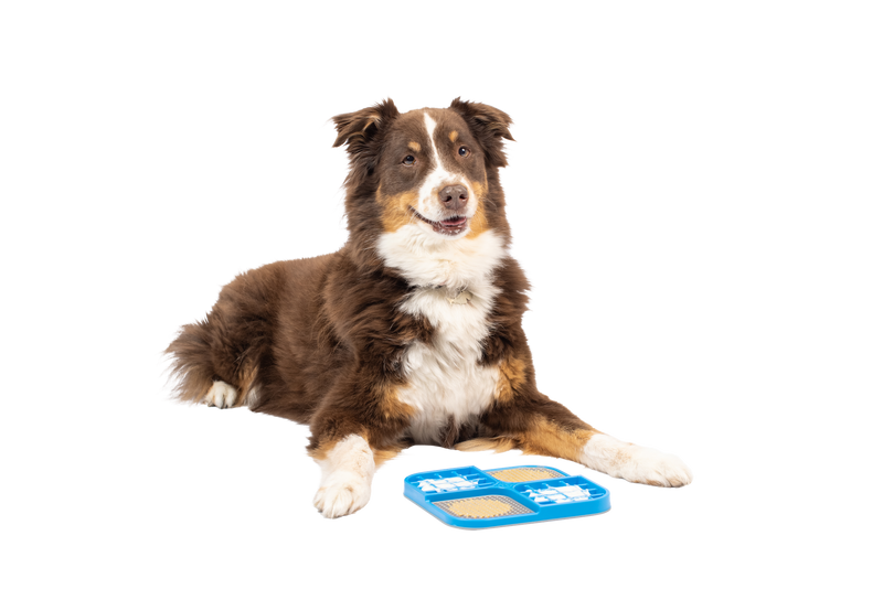 Hyper Pet IQ Treat Lick Mat for Dogs, Dog Slow Feeder & Cat Lick Mats , Great Alternative to Slow Feeder Dog Bowls & Cat Slow Feeders , Perfect Dog